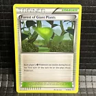 Forest of Giant Plants