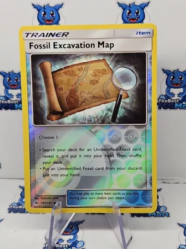 Fossil Excavation Map