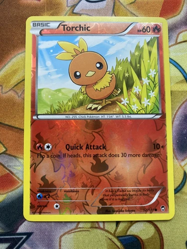 Torchic