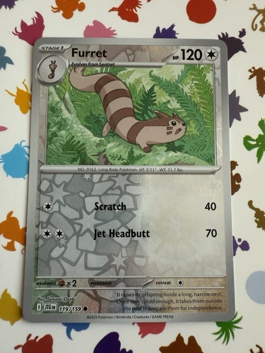 Furret