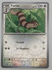 Furret