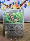 Furret