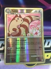 Furret