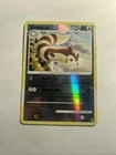Furret