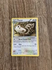 Furret