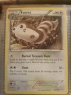 Furret