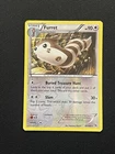 Furret