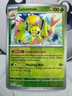 Kricketot