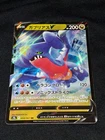 Garchomp V