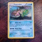Gastrodon