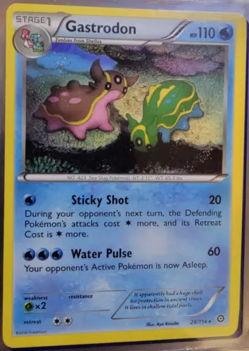 Gastrodon