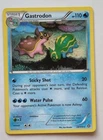 Gastrodon