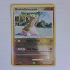 Gastrodon West Sea