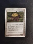 Giant Stump