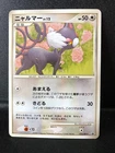 Zapdos 