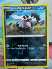 Zigzagoon