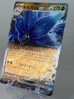 Glimmora ex