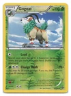 Gogoat