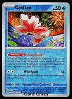 Goldeen