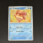 Goldeen