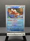Goldeen