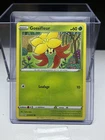 Gossifleur