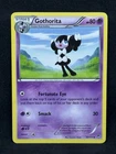 Gothorita