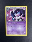 Gothorita
