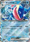 Greninja V