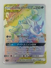 Greninja & Zoroark Tag Team  GX