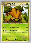 Torterra