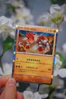 Groudon