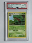 Grovyle