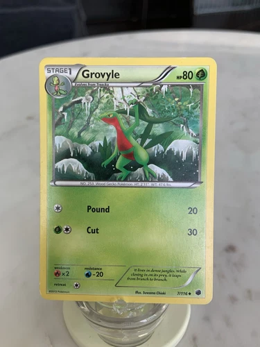Grovyle