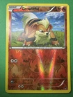 Growlithe