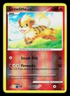 Growlithe