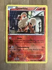 Growlithe