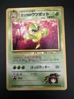 Erika's Victreebel