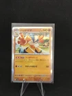 Hariyama