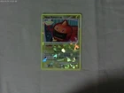 Heat Rotom