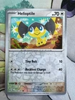 Helioptile