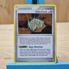 Helix Fossil