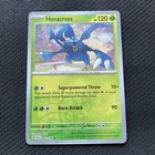 Heracross