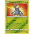 Heracross