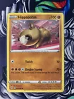 Hippopotas