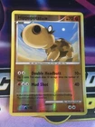 Silcoon