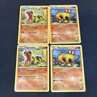 Hippopotas