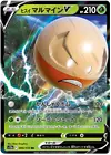 Hisuian Electrode