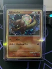 Hitmonlee