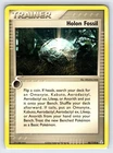 Holon Fossil